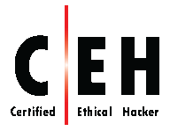 CEH - Certified Ethical Hacker (SF)